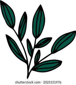 Vector isolated doodle branch with big green leaves. Decoration stem. Botanical element
