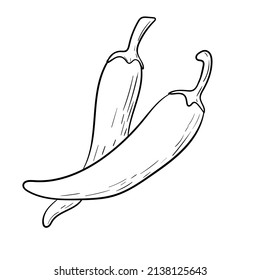 Vector isolated doodle illustration of hot chili pepper.