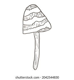Vector isolated doodle illustration of wild mushroom toadstool in outline style.