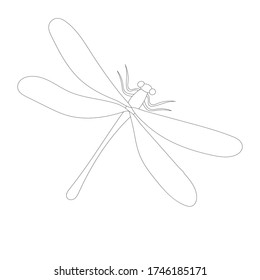 White Background Outline Dragonfly Sketch Stock Vector (Royalty Free ...