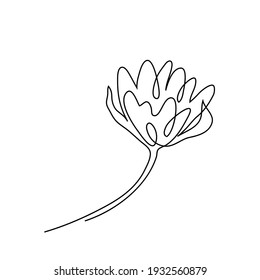 Vector isolated drawing of a flower. Lily flower drawn by one line on a white background. 