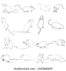 vector, isolated, drawing with one continuous line rat, mouse, set