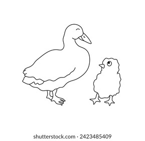 Vector isolated duck and chicken colorless black and white contour line easy drawing