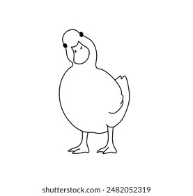 Vector isolated duck duck goose colorless black and white contour line easy drawing	