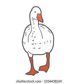 vector, isolated, duck, on white background