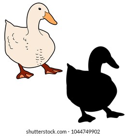 vector, isolated duck on white background