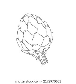 Vector Isolated Edible Artichoke Flower Colorless Black And White Contour Line Drawing