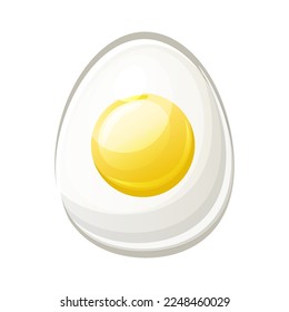 Vector isolated egg with yolk. Cartoon object