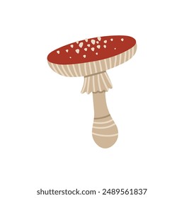 Vector isolated element. Amanita. Mushrooms. Autumn time. Halloween. Color image on a white background. The print is used for packaging design.