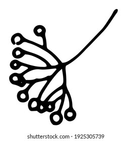 vector isolated element of berries in a bunch of mountain ash hand-drawn in the style of doodle black outline on a white background for label design template, packaging