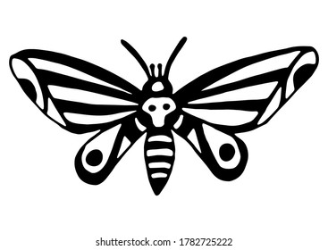 Vector isolated element, butterfly. Hand drawn doodle.