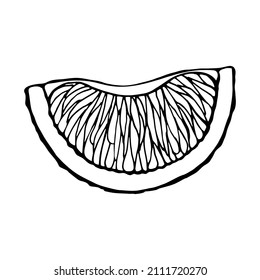 Vektorisoliertes Element. Zitrusfrüchte. Grapefruit. Orange. Zitronen. Schwarz, handgezeichnet, auf weißem Hintergrund. Der Druck wird für das Verpackungsdesign verwendet.