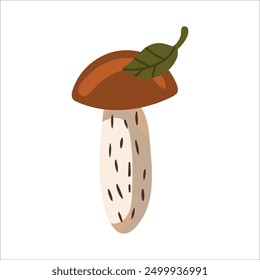 Vector isolated element. An edible mushroom. Orange-cap boletus. Autumn time. Color image on a white background. The print is used for packaging design.