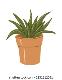 Vector isolated element. Flowers in a pot. Gardening. Springtime. Color image on a white background. The print is used for packaging design.