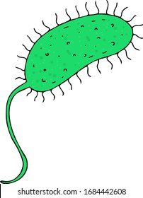 vector isolated element, green bacterium without background hand-drawn in cartoon style