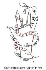 Vector isolated element. Hands. Snake. Plant. Mysticism. Black hand drawn doodle on a white background. The print is used for packaging design.