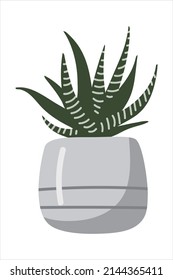 Vector isolated element. Houseplant. Haworthia. A flower in a pot. Color image on a white background. The print is used for packaging design.