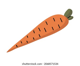 Vektorisoliertes Element. Illustration mit Karotten. Gemüse. Farbbild auf weißem Hintergrund. Der Druck wird für das Verpackungsdesign verwendet. 
