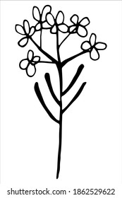 Vector isolated element. Illustration with flower, herbal