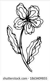 Elemento aislado del vector. Ilustración con flores, hierbas