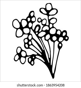 Vector isolated element. Illustration with flower, herbal