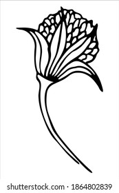 Elemento aislado del vector. Ilustración con flores, hierbas