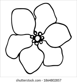 Vector isolated element. Illustration with flower, herbal