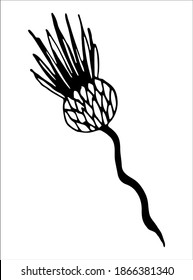 Elemento aislado del vector. Ilustración con flores, hierbas