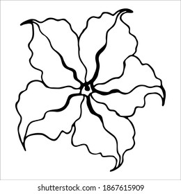 Vector isolated element. Illustration with flower, herbal