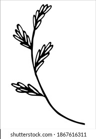 Vector isolated element. Illustration with flower, herbal