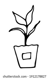 Vector isolated element. Illustration with garden seedlings in a pot. Gardening. Hand drawn doodle. 