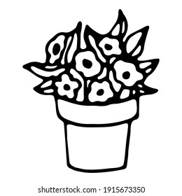 Vector isolated element. Illustration with garden flower in a pot. Gardening. Hand drawn doodle. 