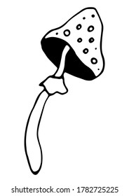 Vector isolated element, mushroom. Hand drawn doodle.