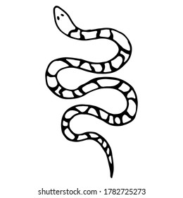 Vector isolated element, snake. Hand drawn doodle.