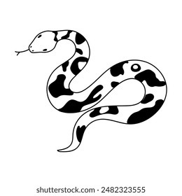 Vector isolated element, snake. Hand drawn doodle.