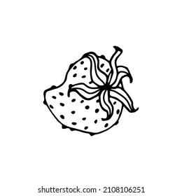 Image vectorielle élément isolé. Fraises. Berry. Doodle dessiné à la main noire sur fond blanc. L'impression est utilisée pour la conception de l'emballage.