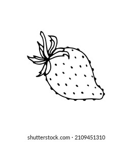 Vector isolated element. Strawberry. Berry. Black hand drawn doodle on a white background. The print is used for packaging design.