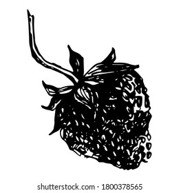 Vector isolated element, 
 strawberry. Hand drawn doodle.