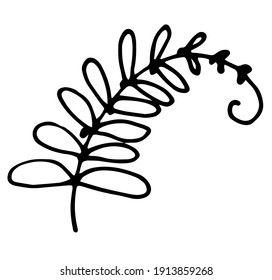 vector isolated element a swirling twig with rounded leaves and a curved spiral at the end, hand-drawn in the doodle style black outline on a white background for a plant design template