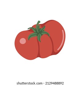 Vector isolated element. Tomato. Vegetables. Gardening. Springtime. Color image on a white background. The print is used for packaging design.