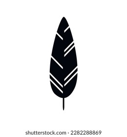 Vector isolated feather image, graphic illustration