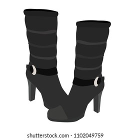 vector, isolated, female boots