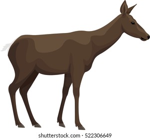 vector isolated female deer