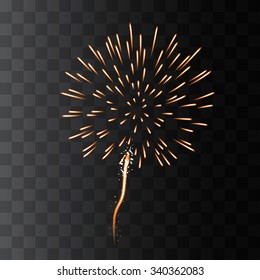 Vector Isolated Firework Salute Burst on Transparent Background