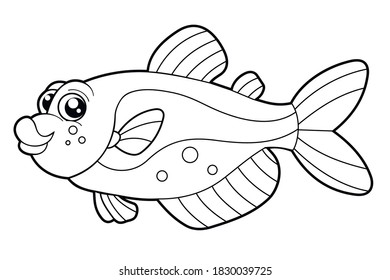 Vector isolated fish on the white background. Colorless outline element for a children coloring page.