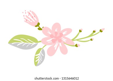 Vector isolated flat flower on white background. Spring scandinavian hand drawn nature illustration wedding design. For greeting card, print, children book