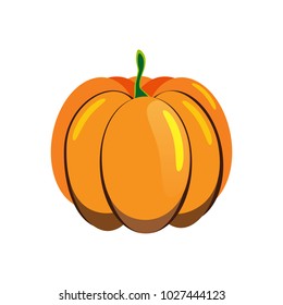 Vector isolated flat illustration of ripe pumpkin on white background