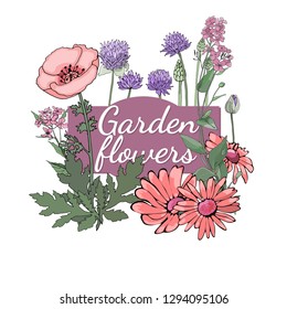 Vector isolated floral set from garden flowers. Botanical illustration with pink poppy, purple  chives (allium), orange calendula (Asteraceae) and asters. All with green leaves on a white background.