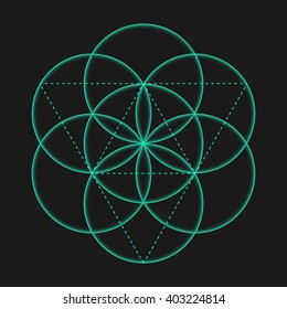 Vector isolated Flower of Life sign with circles. Metatron's Cube. Sacred Geometric glyph - Flower of life. Holy sacred symbol. Sacred Geometry