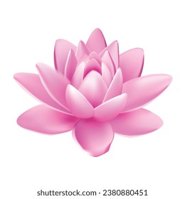 Vector isolated flower of lotus with light pink petals with reflection on white background 3d vector illustration